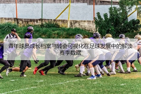 青年球员成长档案与转会可视化在足球发展中的解读赛季数据